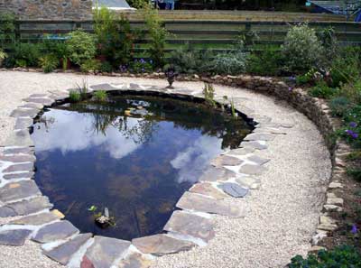Pond design